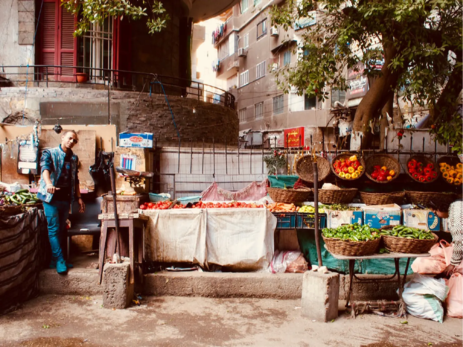 vegetable stall in cairo street