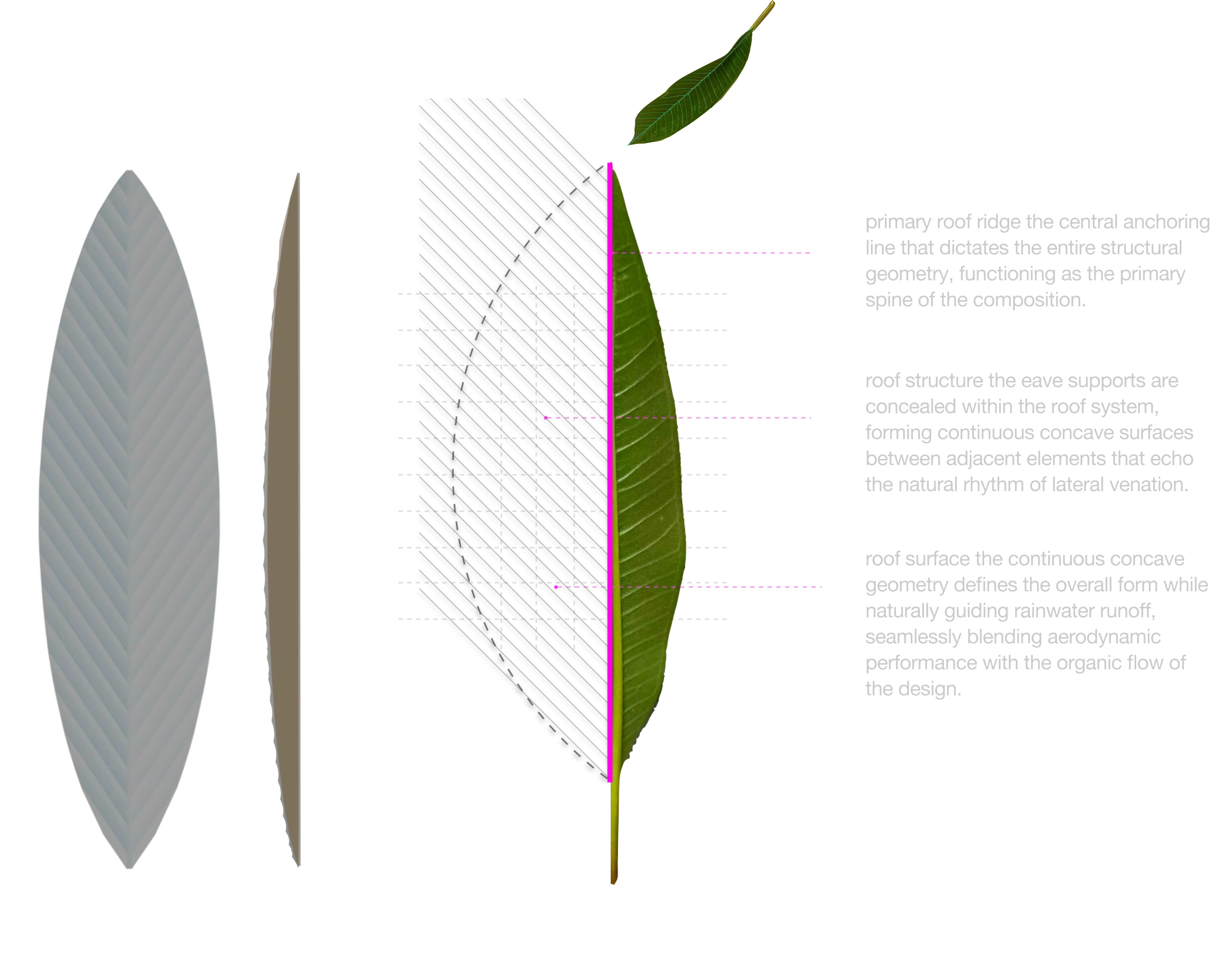 Water distribution on the roof surface